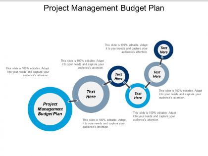 Project management budget plan ppt powerpoint presentation gallery graphics cpb