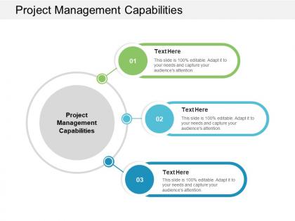 Project management capabilities ppt powerpoint presentation maker cpb