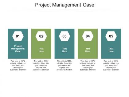 Project management case ppt powerpoint presentation layouts graphics design cpb
