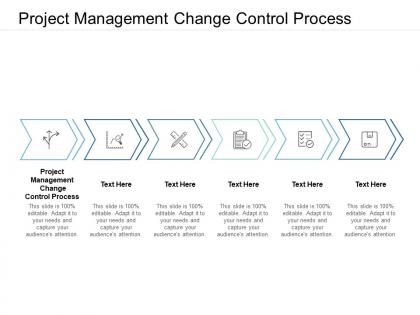 Project management change control process ppt powerpoint presentation visual aids backgrounds cpb