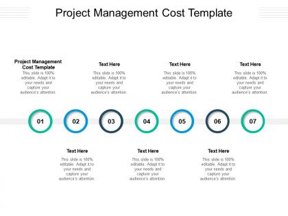 Project management cost template ppt powerpoint presentation example 2015 cpb