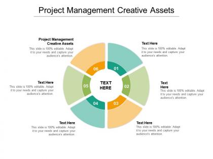 Project management creative assets ppt powerpoint presentation graphics cpb