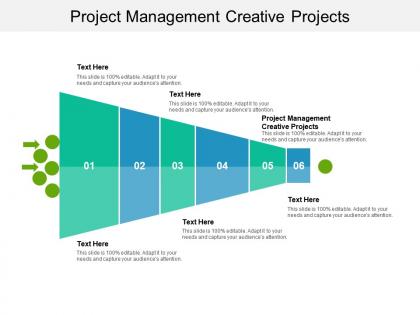 Project management creative projects ppt powerpoint presentation file elements cpb