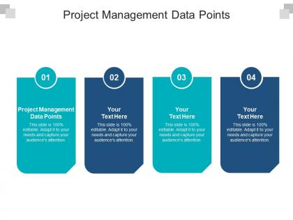 Project management data points ppt powerpoint presentation styles brochure cpb