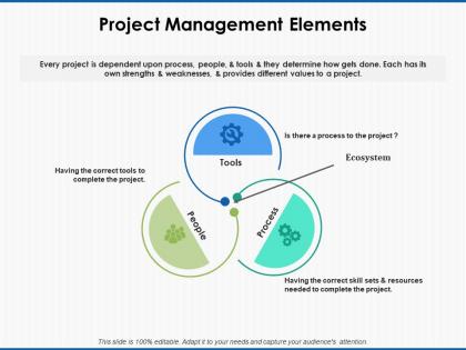 Project management elements process ppt powerpoint presentation file layout