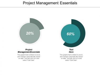Project management essentials ppt powerpoint presentation outline design inspiration cpb