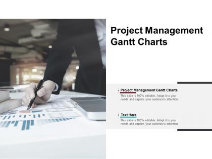 Project management gantt charts ppt powerpoint presentation styles grid cpb