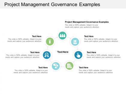 Project management governance examples ppt powerpoint presentation ideas cpb
