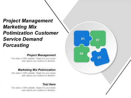 Project management marketing mix optimization customer service demand forecasting