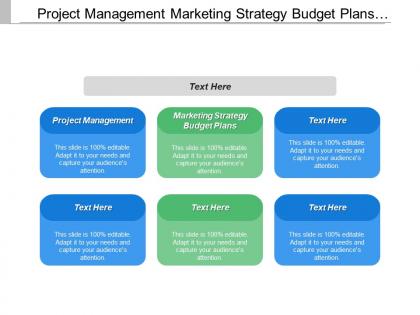 Project management marketing strategy budget plans campaign promotion plans
