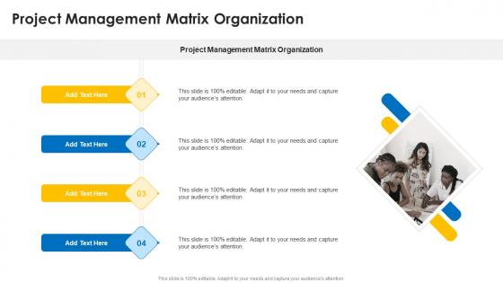 Project Management Matrix Organization In Powerpoint And Google Slides Cpb