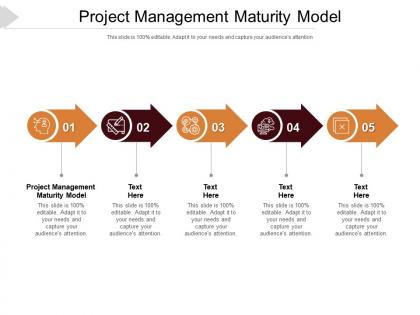 Project management maturity model ppt powerpoint presentation slides graphics cpb
