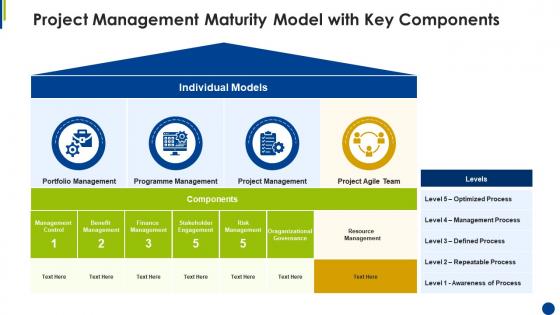 Project management maturity model with key components