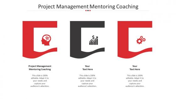 Project Management Mentoring Coaching Ppt Powerpoint Presentation Infographics Format Ideas Cpb