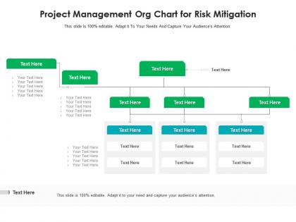 Project management org chart for risk mitigation infographic template