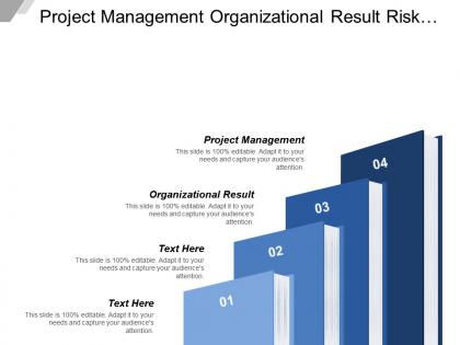 Project management organizational result risk financial identification control auditing
