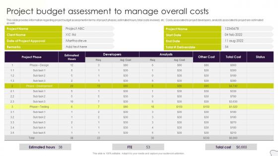 Project Management Plan Playbook Project Budget Assessment To Manage Overall Costs