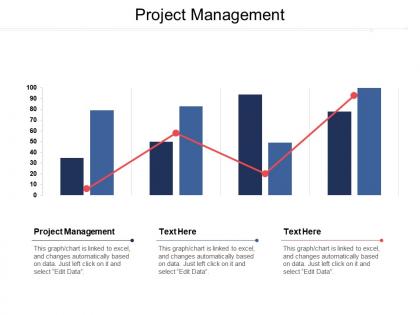 Project management ppt powerpoint presentation gallery model cpb