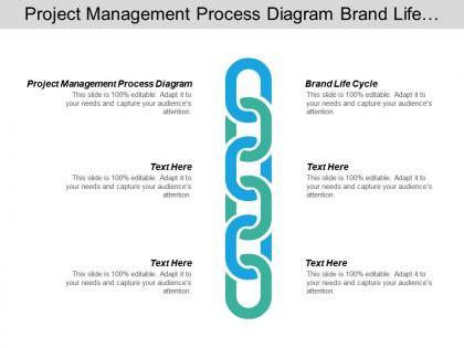 Project management process diagram brand life cycle strategies business cpb