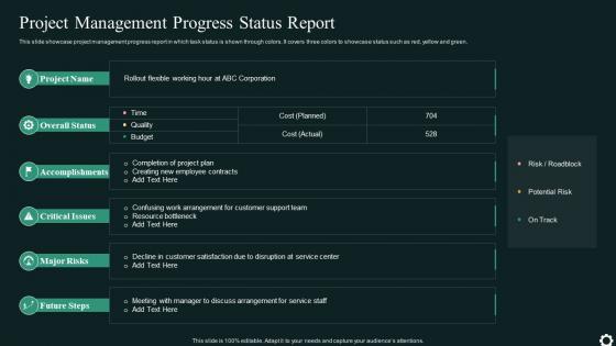 Project Management Progress Status Report