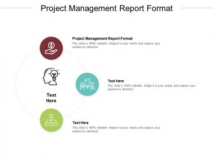 Project management report format ppt powerpoint presentation show aids cpb