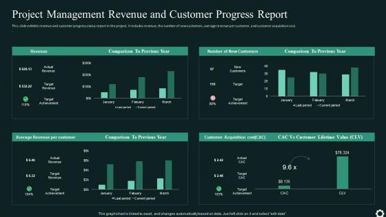 Project Management Revenue And Customer Progress Report