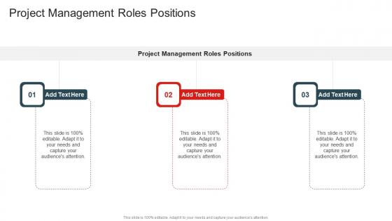 Project Management Roles Positions In Powerpoint And Google Slides Cpb