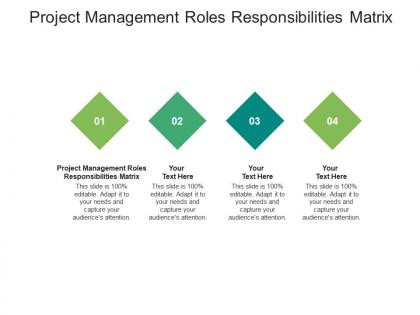 Project management roles responsibilities matrix ppt powerpoint presentation gallery structure cpb