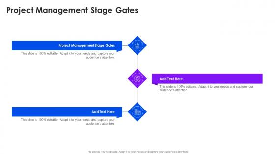Project Management Stage Gates In Powerpoint And Google Slides Cpb