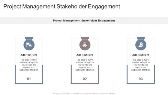 Project Management Stakeholder Engagement In Powerpoint And Google Slides Cpb