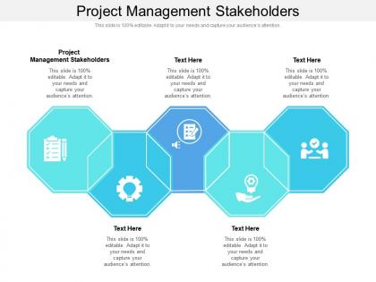 Project management stakeholders ppt powerpoint presentation ideas sample cpb