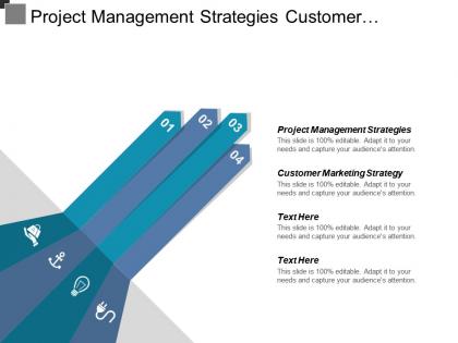 Project management strategies customer marketing strategy resource strategy cpb