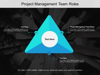 Project management team roles ppt powerpoint presentation summary show cpb