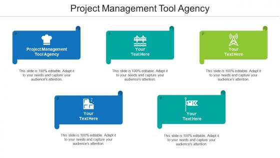 Project management tool agency ppt powerpoint presentation infographic template cpb