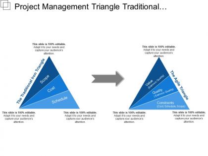 Project management triangle traditional agile extrinsic intrinsic
