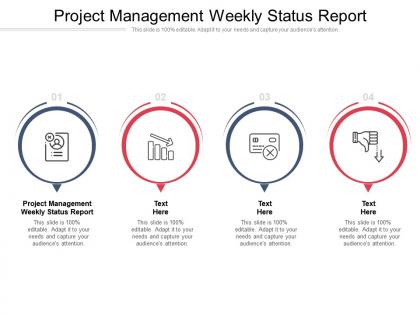 Project management weekly status report ppt powerpoint presentation pictures gallery cpb