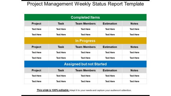 Project management weekly status report template