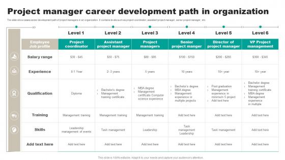 Project Manager Career Development Path In Organization