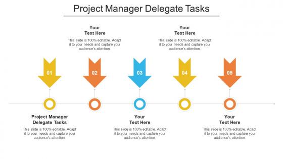 Project Manager Delegate Tasks Ppt Powerpoint Presentation File Brochure Cpb