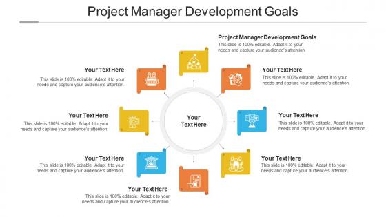Project Manager Development Goals Ppt Powerpoint Presentation Summary Brochure Cpb