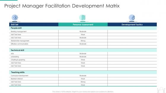 Project manager facilitation development matrix pmp modeling techniques it