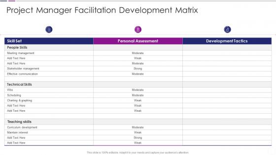 Project Manager Facilitation Development Matrix Quantitative Risk Analysis