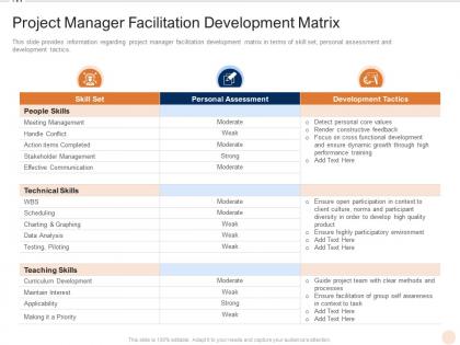 Project manager facilitation development matrix various pmp elements it projects