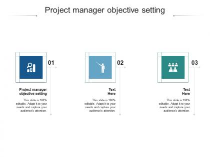 Project manager objective setting ppt powerpoint presentation styles clipart cpb