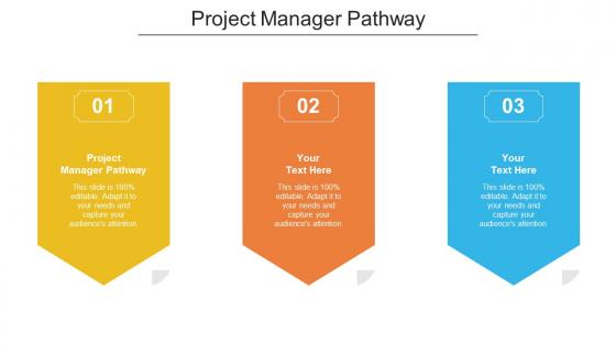 Project Manager Pathway Ppt Powerpoint Presentation Show Example Topics Cpb