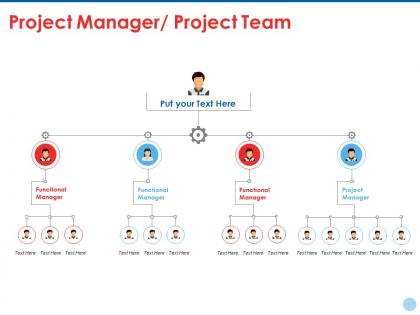 Project manager project team ppt summary example