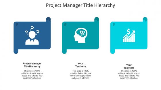 Project manager title hierarchy ppt powerpoint presentation outline inspiration cpb
