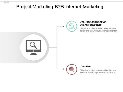 Project marketing b2b internet marketing ppt powerpoint presentation summary sample cpb