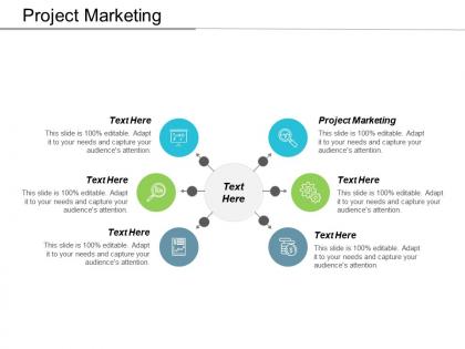 Project marketing ppt powerpoint presentation file samples cpb