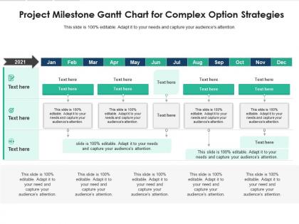 Project milestone gantt chart for complex option strategies